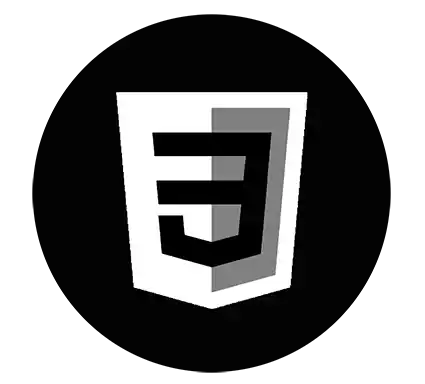 CSS icon