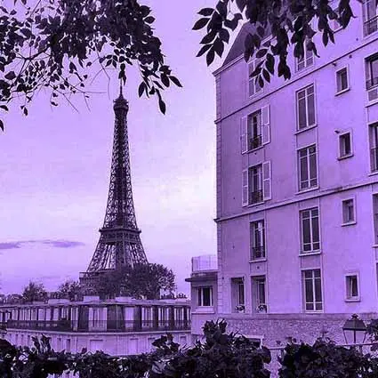 Photo de Paris, la Tour Eiffel au loin.